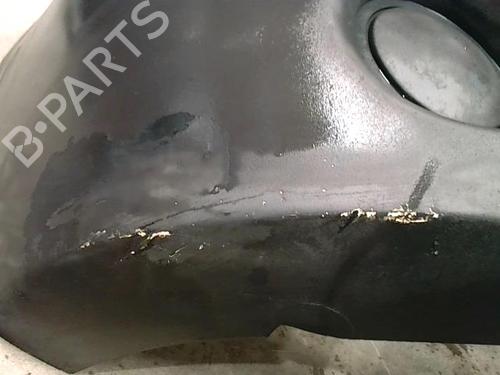 Front bumper NISSAN INTERSTAR Van (X70) dCi 100 | BP24531690C7 