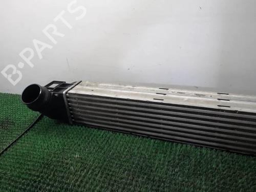 Intercooler RENAULT MEGANE III Hatchback (BZ0/1_, B3_) 1.9 dCi (BZ0N, BZ0J) | BP22087425M30 