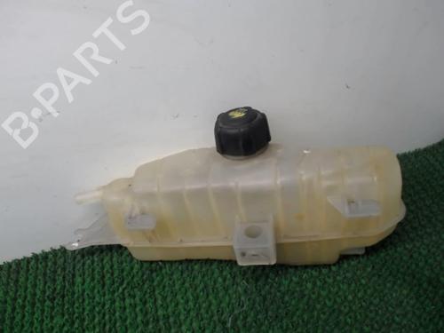 Expansion tank RENAULT CLIO III (BR0/1, CR0/1) 1.5 dCi (C/BR0G, C/BR1G) | BP22081236C120 