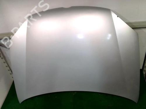 Hood VW GOLF V (1K1) 1.9 TDI | BP20874256C1 