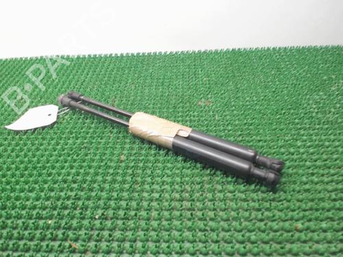 Used Hood lift support BMW 3 (E46) 320 d (136 hp) 22076541