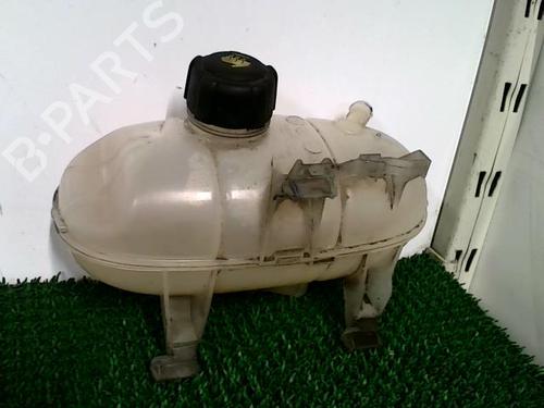 Used Expansion tank RENAULT TRAFIC III Bus (JG_) 1.6 dCi 125 (JGMH) (125 hp) 26490283