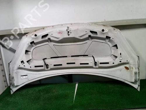 Hood CITROËN C3 II (SC_) 1.1 i | BP30764636C1