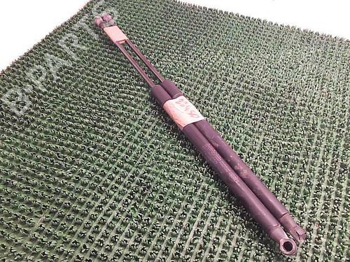 Tailgate lift support NISSAN QASHQAI / QASHQAI +2 I (J10, NJ10, JJ10E) 2.0 | BP22090830C138 