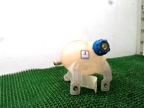 Used Expansion tank FIAT 500L (351_, 352_) 1.4 (199LYB1B) (95 hp) 25221166