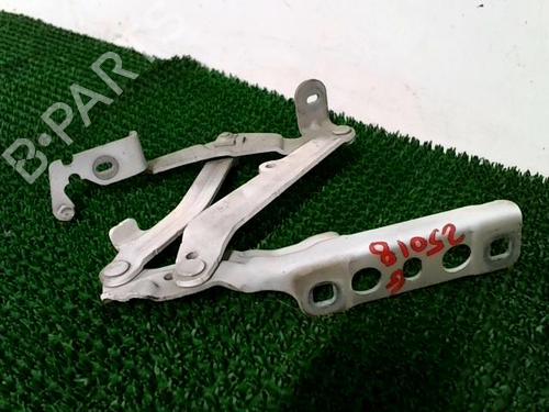 Hinge/Door check strap PEUGEOT 3008 II SUV (MC_, MR_, MJ_, M4_) 1.6 BlueHDi 120 | BP22438426C146 