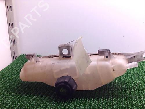 Used Expansion tank RENAULT CLIO III (BR0/1, CR0/1) 1.5 dCi (C/BR0G, C/BR1G) (68 hp) 22076416