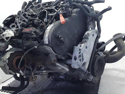 Engine VW GOLF VI (5K1) 1.6 TDI | BP22091844M1 - Image 6