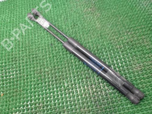 Used Tailgate lift support RENAULT MEGANE III Hatchback (BZ0/1_, B3_) 1.5 dCi (BZ09, BZ0D, BZ1W, BZ29, BZ14) (110 hp) 22086555