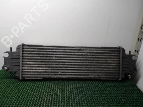 Used Intercooler RENAULT TRAFIC II Van (FL) 1.9 dCi 80 (FL0B) (82 hp) 22085160