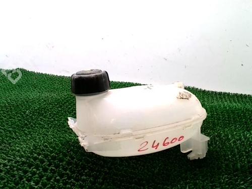 Expansion tank RENAULT CLIO V (B7_) 1.5 Blue dCi 100 (B7AD) | BP29900876C120