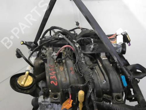 Motor RENAULT CLIO III (BR0/1, CR0/1) 1.2 16V | BP29892884M1 