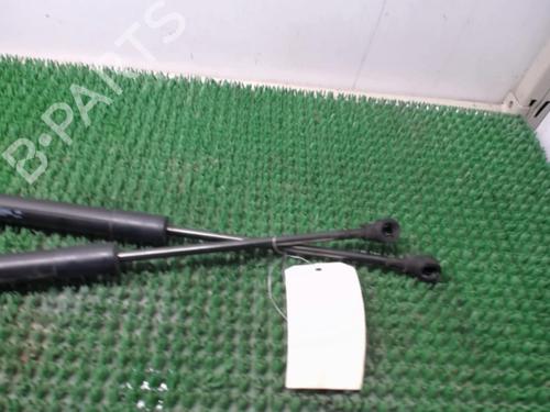 Tailgate lift support RENAULT CLIO IV (BH_) 1.5 dCi 75 | BP25262167C138 