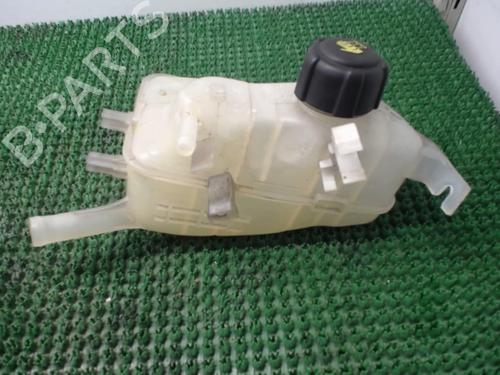 Used Expansion tank RENAULT GRAND SCÉNIC III (JZ0/1_) 1.9 dCi (JZ0J, JZ0N, JZ1K, JZ1S) (131 hp) 22080689