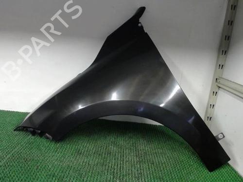 Left front fenders RENAULT MEGANE III Hatchback (BZ0/1_, B3_) 1.9 dCi (BZ0N, BZ0J) | BP20877316C41 