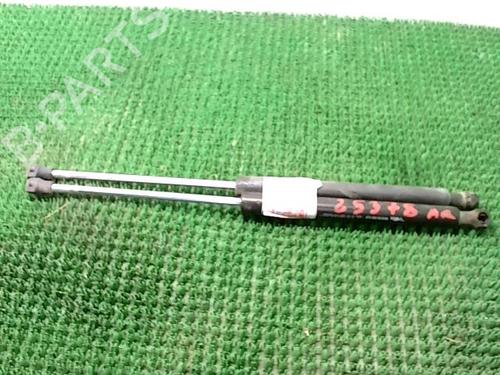 Used Tailgate lift support RENAULT CLIO II (BB_, CB_) 1.2 16V (BB05, BB0W, BB11, BB27, BB2T, BB2U, BB2V, CB05,... (75 hp) 29039621
