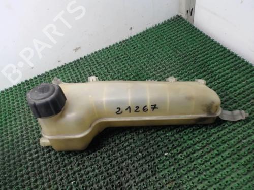 Used Expansion tank RENAULT KANGOO Express (FC0/1_) 1.2 (FC01, FC0A, FC0F) (58 hp) 22080278