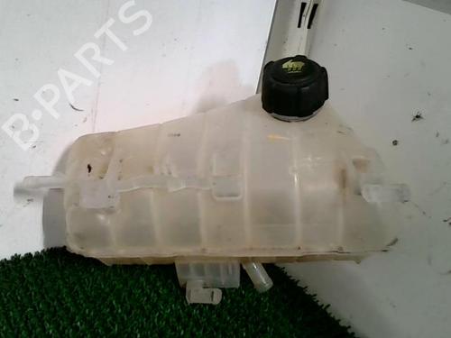 Used Expansion tank RENAULT KANGOO Express (FW0/1_) 1.5 dCi 90 (FW0G, FW05, FW08, FW11) (90 hp) 22093038