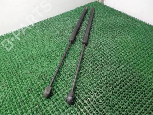 Tailgate lift support FORD FIESTA VI (CB1, CCN) 1.4 TDCi | BP22084171C138 