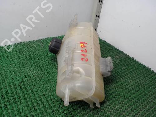 Used Expansion tank RENAULT KANGOO Express (FW0/1_) 1.5 dCi 85 (FW0K, FW0L, FW0B) (86 hp) 22081520