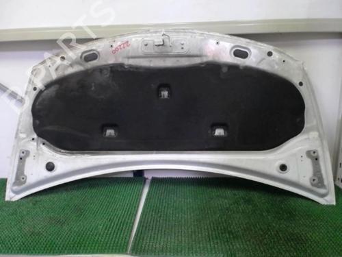 Hood RENAULT CLIO III (BR0/1, CR0/1) 1.5 dCi (C/BR0G, C/BR1G) | BP20876514C1 