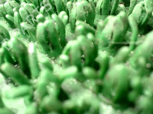 Used Right front shock absorber Right front shock absorber RENAULT SCÉNIC I MPV (JA0/1_, FA0_) 1.9 dCi (JA05, JA1F) (102 hp) 28496883 28496883