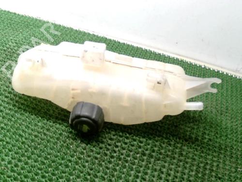 Expansion tank RENAULT CLIO III (BR0/1, CR0/1) 1.2 16V Hi-Flex (BR1U, CR1U) | BP22078557C120 