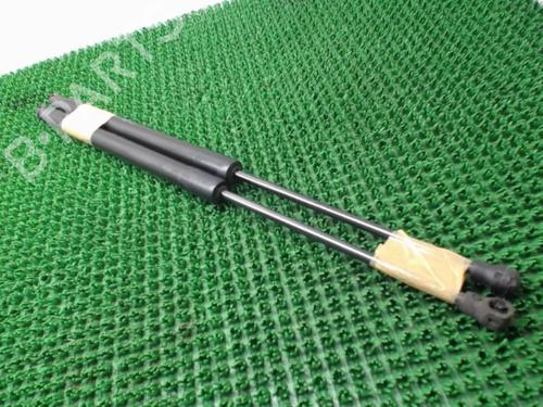 Tailgate lift support PEUGEOT 208 I (CA_, CC_) 1.6 HDi / BlueHDi 75 | BP22084554C138