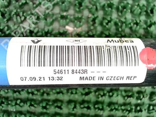 Anti roll bar RENAULT CLIO V (B7_) 1.5 Blue dCi 100 (B7AD) | BP29900899M96