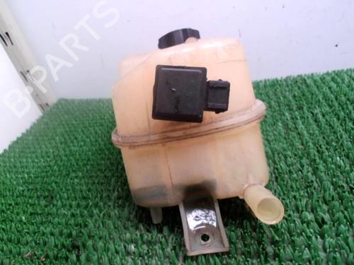 Expansion tank PEUGEOT PARTNER MPV (5_, G_) 1.6 HDi 90 | BP22083758C120