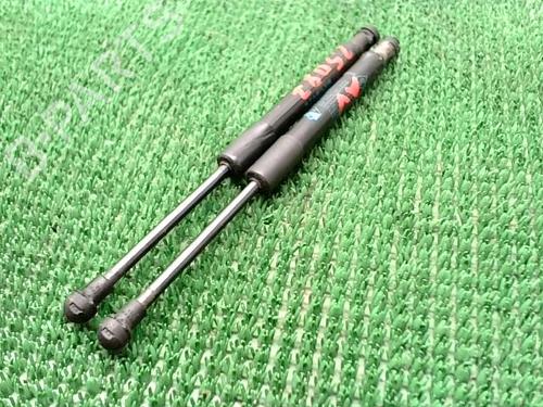 Hood lift support RENAULT SCÉNIC IV (J9_) 1.5 dCi 110 | BP22892748C139 