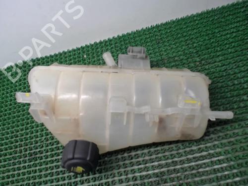 Expansion tank RENAULT KANGOO / GRAND KANGOO II (KW0/1_) 1.5 dCi 90 (KW05, KW08, KW0G, KW11) | BP22077774C120 