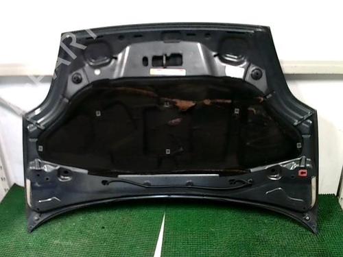 Hood FIAT PUNTO EVO (199_) 1.3 D Multijet | BP22090514C1 
