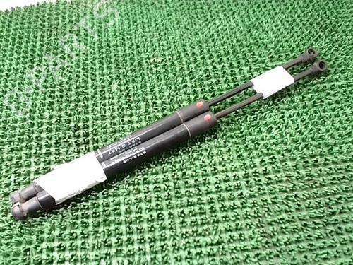 tailgate-lift-support-dacia-duster-hs_-2010-2011-2012-2013-2014-2015-2016-2017-2018-29817080 main image