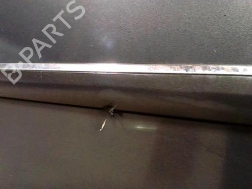 Left front door FIAT PUNTO EVO (199_) 1.3 D Multijet | BP20874210C2 