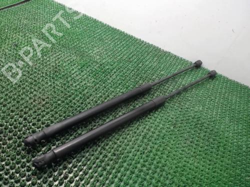 Tailgate lift support FORD FIESTA VI (CB1, CCN) 1.4 TDCi | BP22084246C138 
