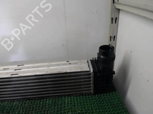 Intercooler RENAULT MEGANE III Hatchback (BZ0/1_, B3_) 1.9 dCi (BZ0N, BZ0J) | BP22087425M30 