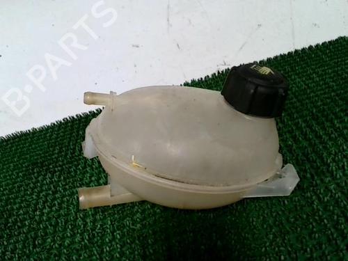 Ekpansionstank DACIA DUSTER (HS_) 1.2 TCe 125 4x4 (125 hp) 29817096