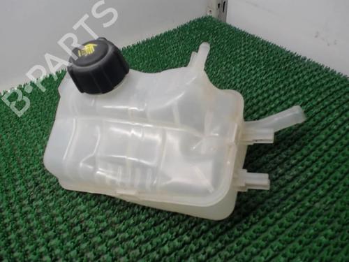 Used Expansion tank RENAULT SCÉNIC III (JZ0/1_) 1.5 dCi (110 hp) 22077623