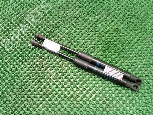 Hood lift support PEUGEOT RCZ 2.0 HDi | BP22089108C139 