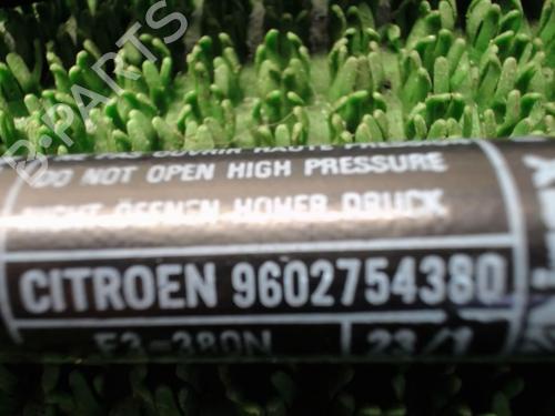 Tailgate lift support CITROËN ZX (N2) 1.9 D | BP22081239C138 