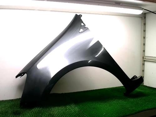 Used Left front fenders RENAULT CLIO III (BR0/1, CR0/1) 1.5 dCi (BR17, CR17) (86 hp) 29958668