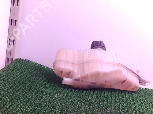 Expansion tank RENAULT CLIO III (BR0/1, CR0/1) 1.5 dCi (C/BR0G, C/BR1G) | BP22076416C120 