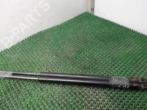 Used Tailgate lift support VW TOURAN (1T1, 1T2) 1.9 TDI (100 hp) 22081925