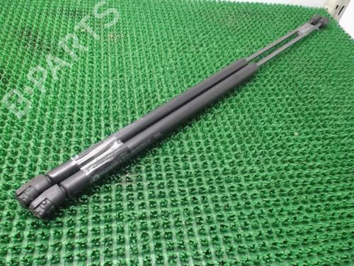 Tailgate lift support CITROËN C4 Picasso I MPV (UD_) 1.6 HDi | BP22084412C138 