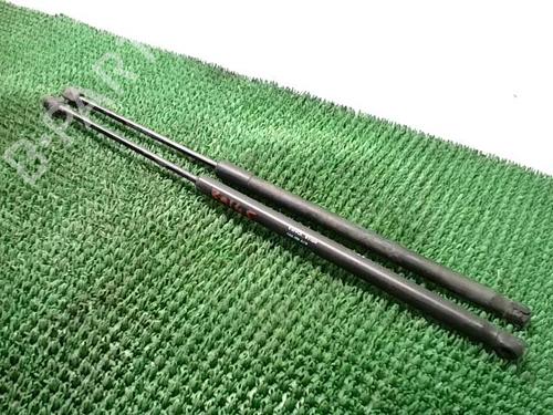 Used Tailgate lift support PEUGEOT 1007 (KM_) 1.4 HDi (68 hp) 28487486
