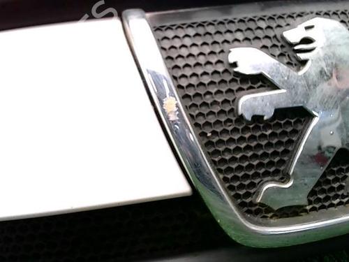 Grille PEUGEOT BOXER Van (244) 2.8 HDi | BP20876932C40 