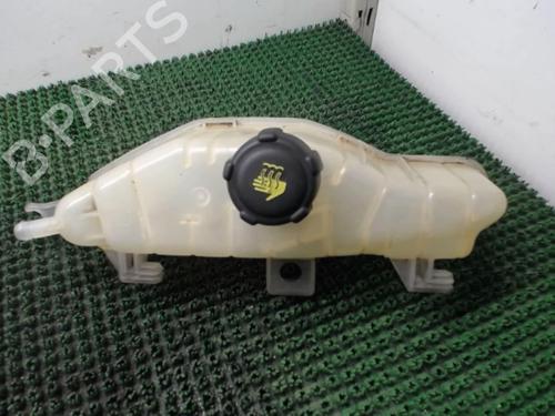 Used Expansion tank RENAULT CLIO III (BR0/1, CR0/1) 1.5 dCi (C/BR0G, C/BR1G) (68 hp) 22080360