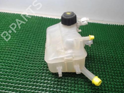 Used Expansion tank RENAULT MEGANE III Hatchback (BZ0/1_, B3_) 1.5 dCi (BZ0C) (90 hp) 22077865