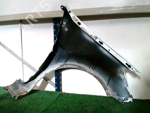 Left front fenders RENAULT CLIO III (BR0/1, CR0/1) 1.5 dCi | BP21097403C41 
